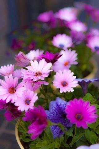    - 13  2017  20:15 - 6