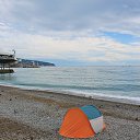  , , 60  -  30  2017   , 2017