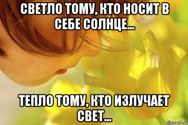      - 1  2017  17:23