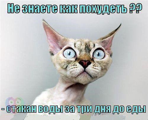   :D - 22  2017  09:04