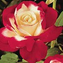 ���� Galina, �����-���������, 57 ��� - ��������� 9 ������� 2017 � ������ ���� ����������