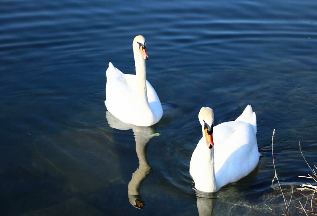 � ������ �� ���� �������� � ����� ����������� ... � ����� ���������, ����� ��� ��� �������� ����� ...