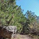  , , 60  -  11  2017     ,,01.04.17