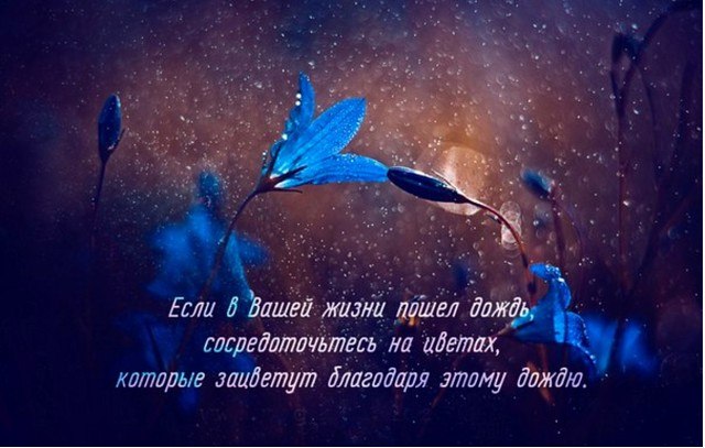 Жужжит, как улей вешний сад, В работе пчёлки суетливы, Чуть дунет ветер – снегопад Из лепестков, ну, ...