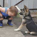 ���� Rem, �������, 37 ��� - ��������� 10 ���� 2017