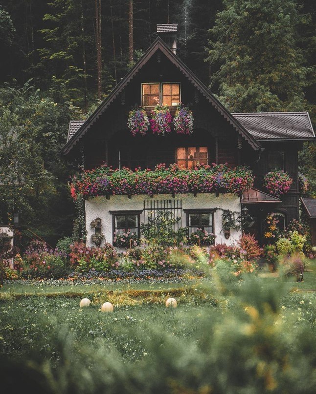 Austria - 5