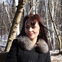 ���� �������, ������, 49 ��� - ��������� 4 ���� 2017 � ������ ���� ����������