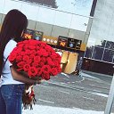 ���� ����, ������������, 31 ��� - ��������� 26 ���� 2017 � ������ ���� ����������