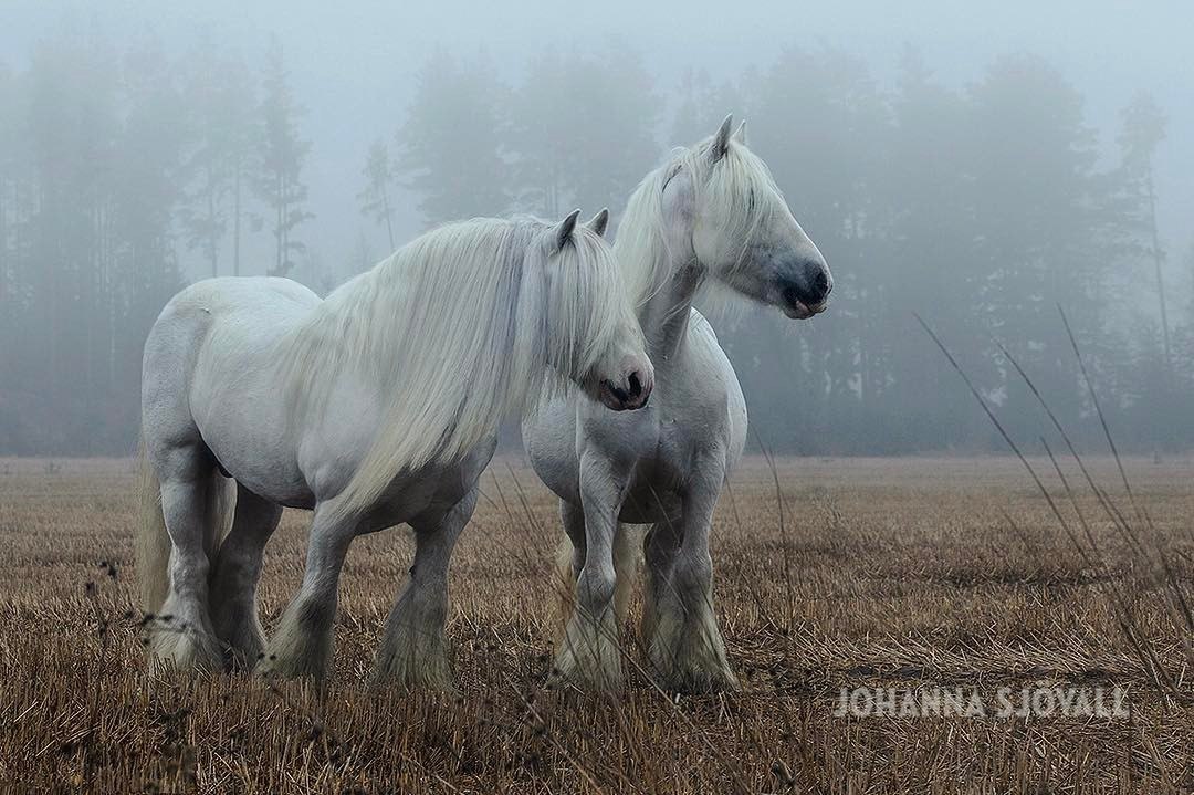   ,  !   : https://fotostrana.ru/away?to=/sl/WHh