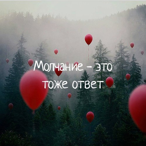   -  ,  -  - 21  2017  09:08