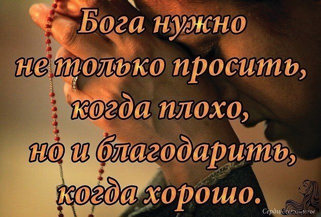   ,  ,    .   ,     ...