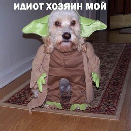 �����, ��������, 35 ���