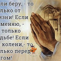 ��, ��������