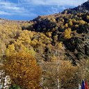 ���� ������, ���������, 66 ��� - ��������� 19 ��� 2017 � ������ ���� ����������