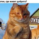  ,  -  5  2017