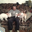 ���� ��������, ������, 67 ��� - ��������� 7 ��� 2017