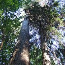  , -, 59  -  23  2017    