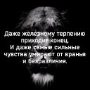 ���� ����, �����������, 36 ��� - ��������� 7 ������ 2017 � ������ ������ ��������