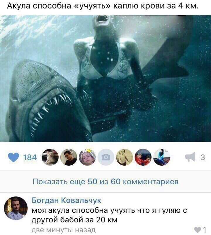    :D - 6  2017  12:09