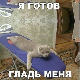 , , 46 
