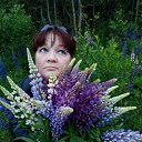 ���� �������� ��������, ������, 56 ��� - ��������� 5 ���� 2017 � ������ ���� ����������