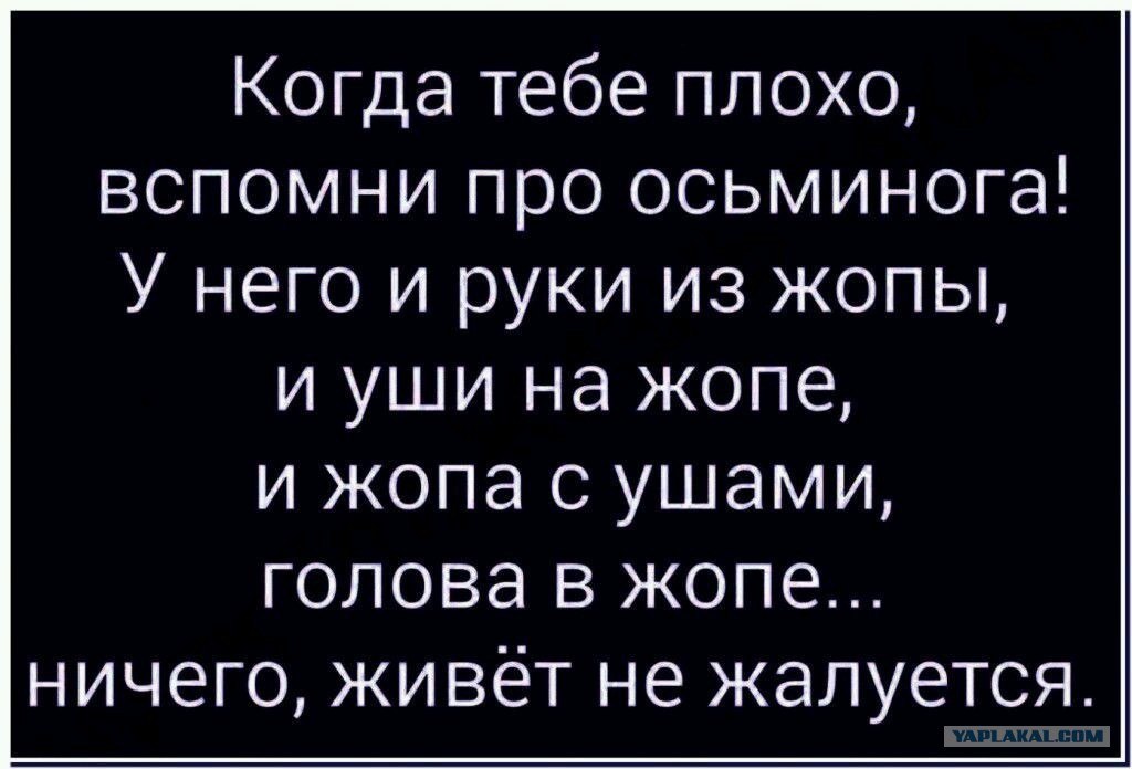      - 3  2017  08:49