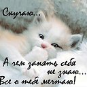 ���� Milorad, �������, 49 ��� - ��������� 6 ���� 2017 � ������ ���� ����������