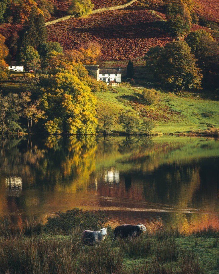 United Kingdom - 5