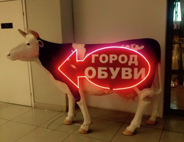 Когда человек занимается не своим делом, это может привести к непоправимым последствиям, а может и ... - 18