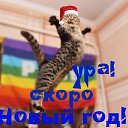 ���� �������, ������������ - ��������� 29 ������ 2017 � ������ ���� ����������