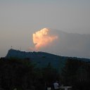  , -, 42  -  8  2017   , 2017 ()