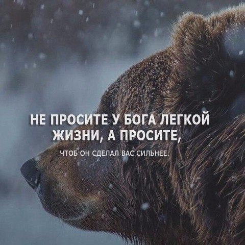   - 4  2017  21:28