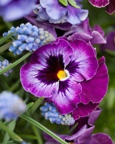    - 13  2017  20:15 - 5