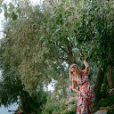 ���� �������, ���������� - ��������� 16 �������� 2017 � ������ ������ ��������