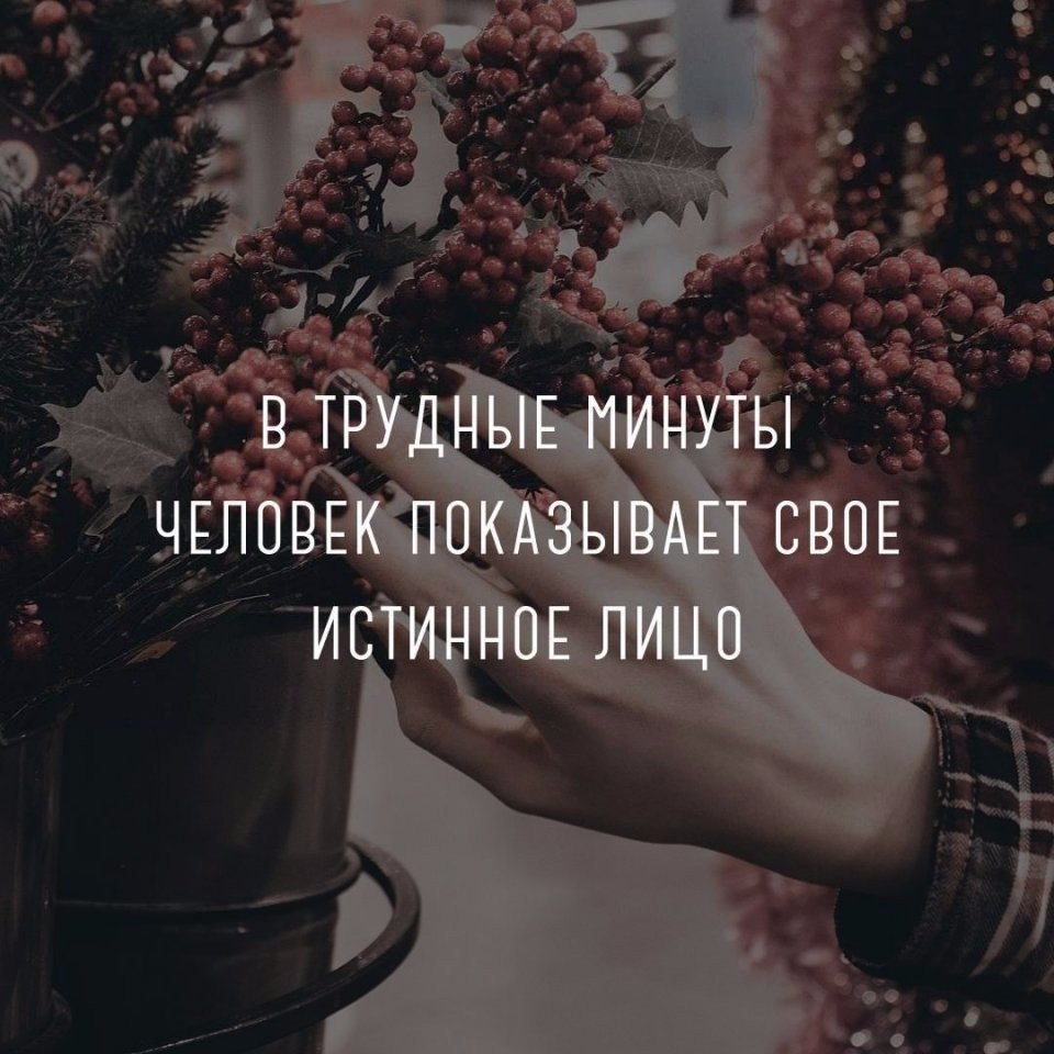  | ,  - 3  2017  22:59