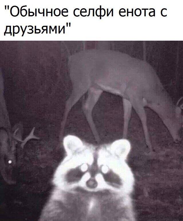   - 31  2017  15:16