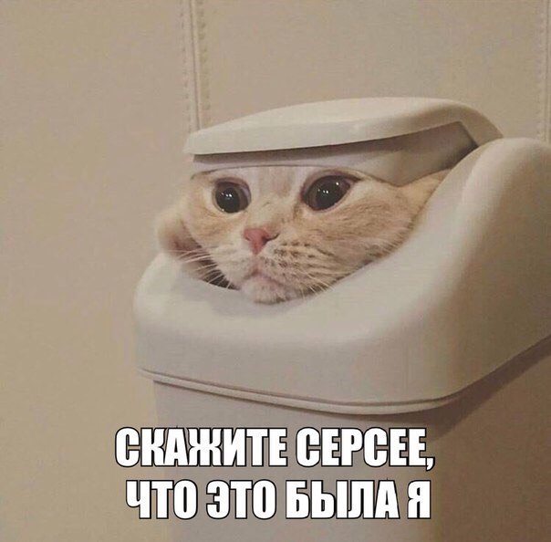  - 8  2017  15:04