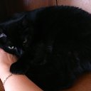 ���� �������, ����-������� - ��������� 16 ���� 2017 � ������ ���� ����������