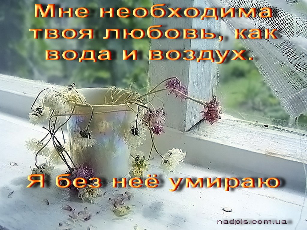  - 12  2017  20:58