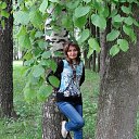 ���� ���������, ������ ��������, 61 ��� - ��������� 23 ���� 2017 � ������ ��������� 2017�