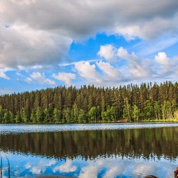 ���� ���������, �����-���������, 42 ���� - ��������� 15 ���� 2017