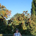 ���� �������, �������, 63 ���� - ��������� 25 �������� 2017 � ������ ���� ����������