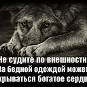  ,  -  19  2017    