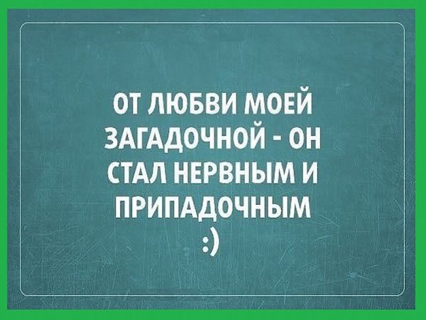 ☆ ☆ - 15  2017  04:07
