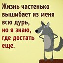 ���� ��������, �������, 56 ��� - ��������� 21 ������ 2017 � ������ ������ ��������
