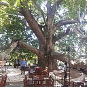 ���� Selim, �����, 46 ��� - ��������� 20 ���� 2017 � ������ �gori uludag�