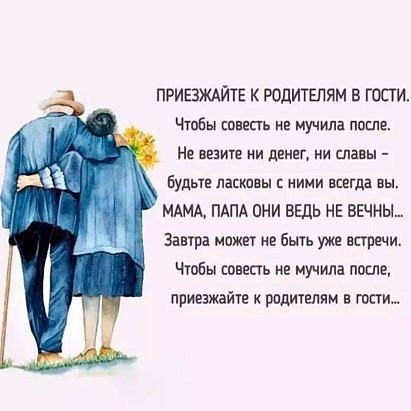 , , , ,  - 12  2017  13:53