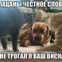 ���� Oleg, ������������ - ��������� 27 ������� 2017 � ������ ������ ��������