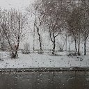  ,  -  1  2017     ӻ