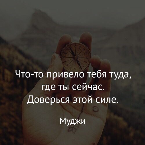 BEST | , ,  - 11  2017  05:57